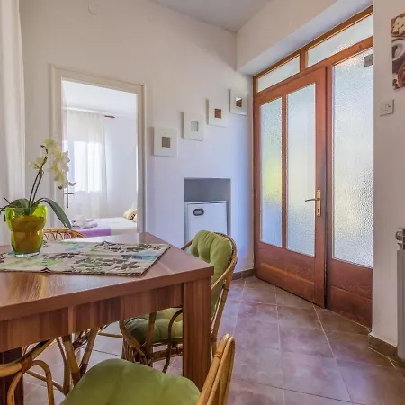 Roni ツリクヴェニツァ