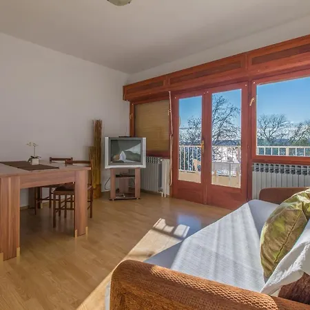 Roni * ツリクヴェニツァ